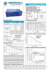 Megacell LiFePO4 25.6 V 200 Ah Lityum Demir Fosfat Akü