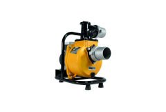 DC Yüzey Pompa 2Hp 1500W (SFP29-13-1500W/110V)