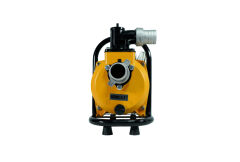DC Yüzey Pompa 1.5Hp 1100W (SFP20-17-1100W/96V)