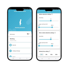 Novato WiFi İnsan Varlığı Sensörü 5.8G