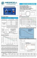 MEGACELL-LiFePO4 25.6V 100Ah Lityum Demir Fosfat Akü