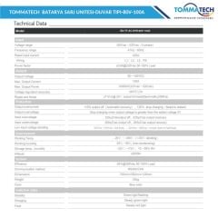 TommaTech Batarya Şarj Ünitesi Duvar Tipi 80V-100A